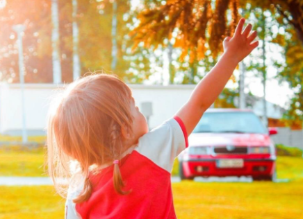 Basistag Inklusion im Kinder- und Jugendschutz 8.7.2025